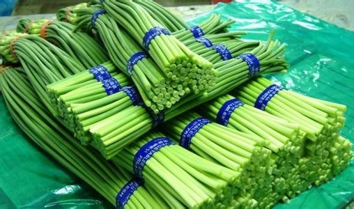 小型蒜苔保鮮冷庫安裝