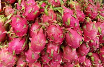 火龍果氣調(diào)庫安裝設計冷庫建造