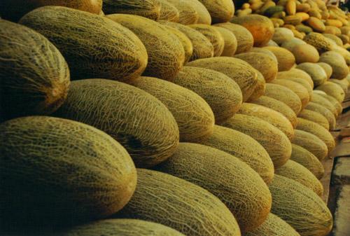 建一座哈密瓜保鮮庫需要多少投資？冷庫設備費用