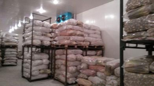 建一個500噸蓮藕冷庫多少錢 ，蓮藕冷庫造價