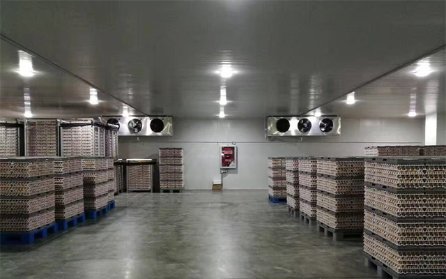 1000噸0-5℃蘋果冷藏庫多少錢，2-4℃冷藏庫建設
