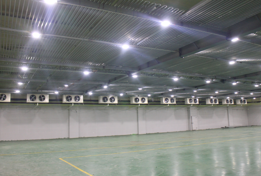 500噸冷凍肉冷庫建造，-18℃低溫肉類冷凍庫安裝造價