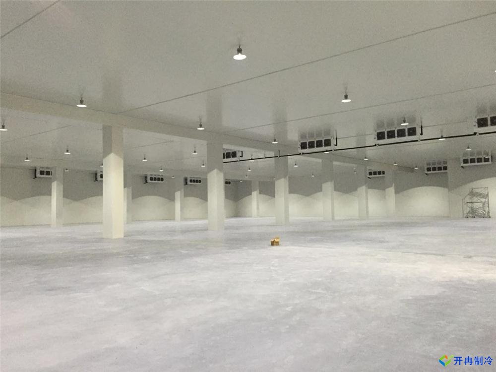 浙江建-60℃金槍魚超低溫冷庫，冷庫總價預算多少