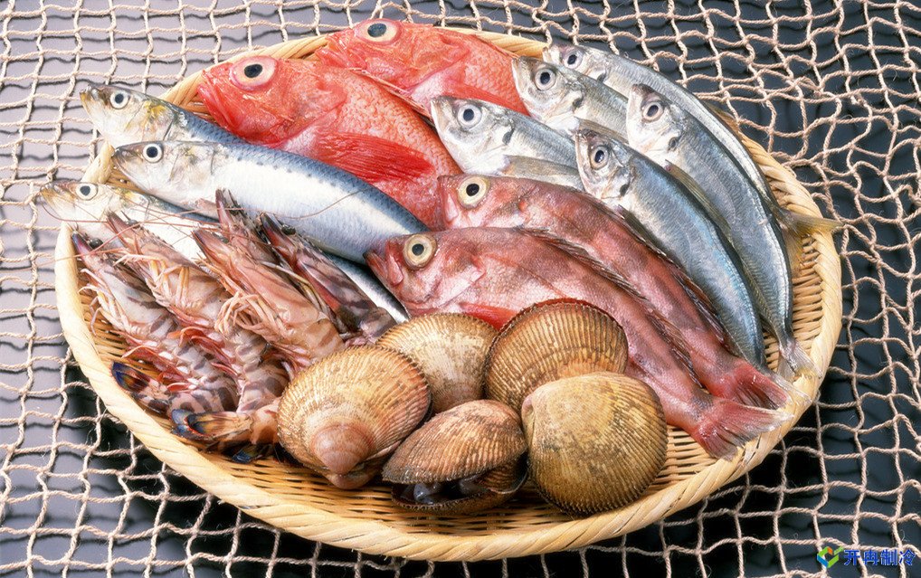 上海建造海鮮冷庫，冷庫報價表