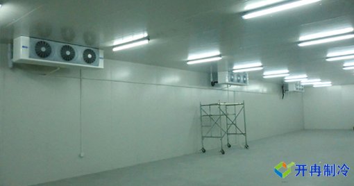 大型果蔬農產品物流冷庫,冷藏庫建造及運營成本預算