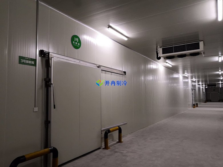 大型生鮮配送冷庫選址及（水產(chǎn)冷凍庫）設(shè)計方案報價